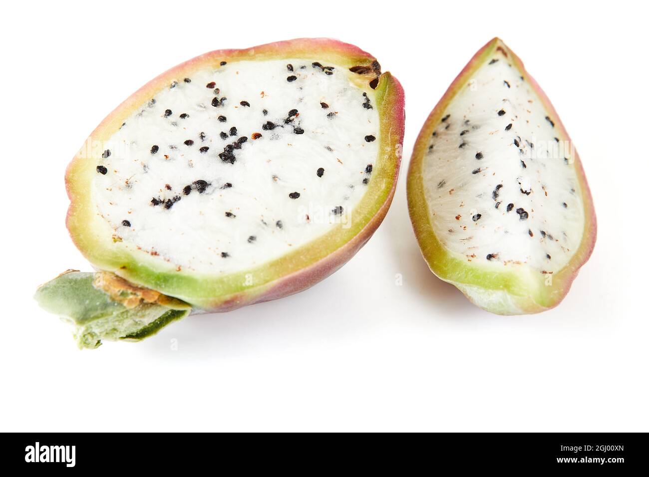 Mela peruviana cactus frutta isolato su sfondo bianco. Nome scientifico Cereus repandus. Foto Stock