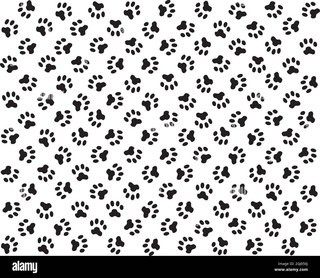 Stampa senza cuciture di zampe di cani su sfondo bianco Foto Stock