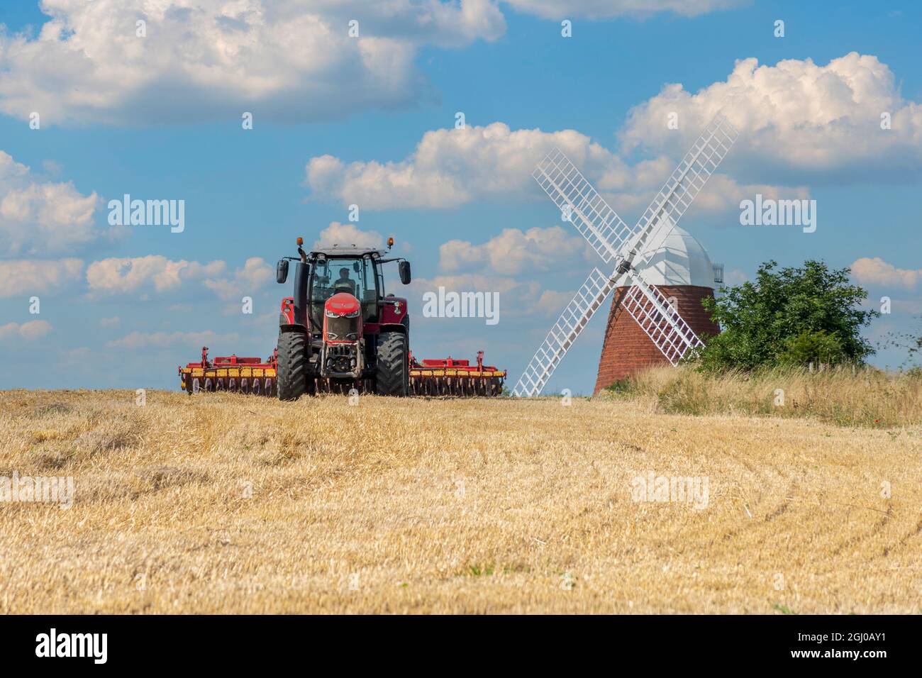 Hornaker Windmill nel South Downs National Park nel West Sussex, Inghilterra, Regno Unito, con un trattore rosso che lavora nel campo di mais, in una giornata estiva soleggiata Foto Stock