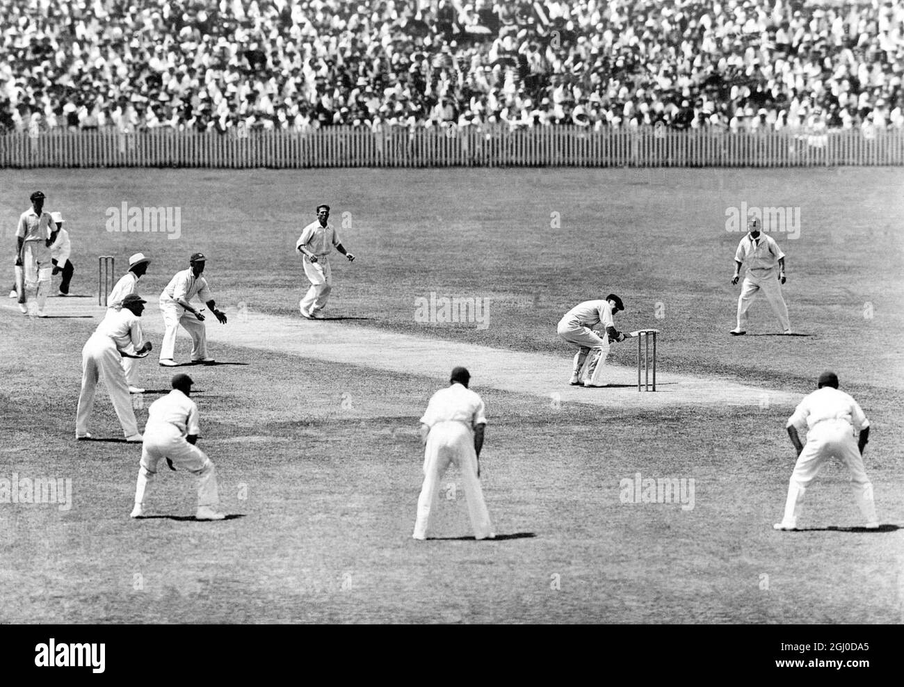 Australian batsman Woodfull, che tira un paraurti dal bowler inglese Harold Larwood nella serie di test 1933 in Australia. Notate la trappola della teoria delle gambe impostata dal capitano inglese Douglas Jardine meglio noto come ''Bodyline''. Foto Stock