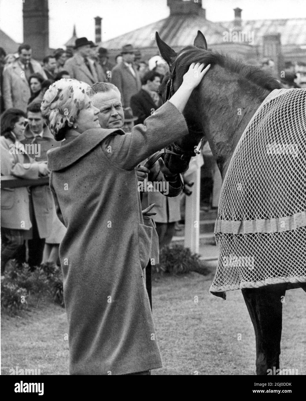 La Regina Madre vede il suo cavallo finire secondo al Sandown Park.H.M. Regina Elisabetta la Regina Madre visto qui dando il suo cavallo, ''Jaipur'' un pat ben fatto, dopo che il cavallo ha finito secondo nella Select Open quattro Yrs Old Hurdle Race. 18 marzo 1960 Foto Stock