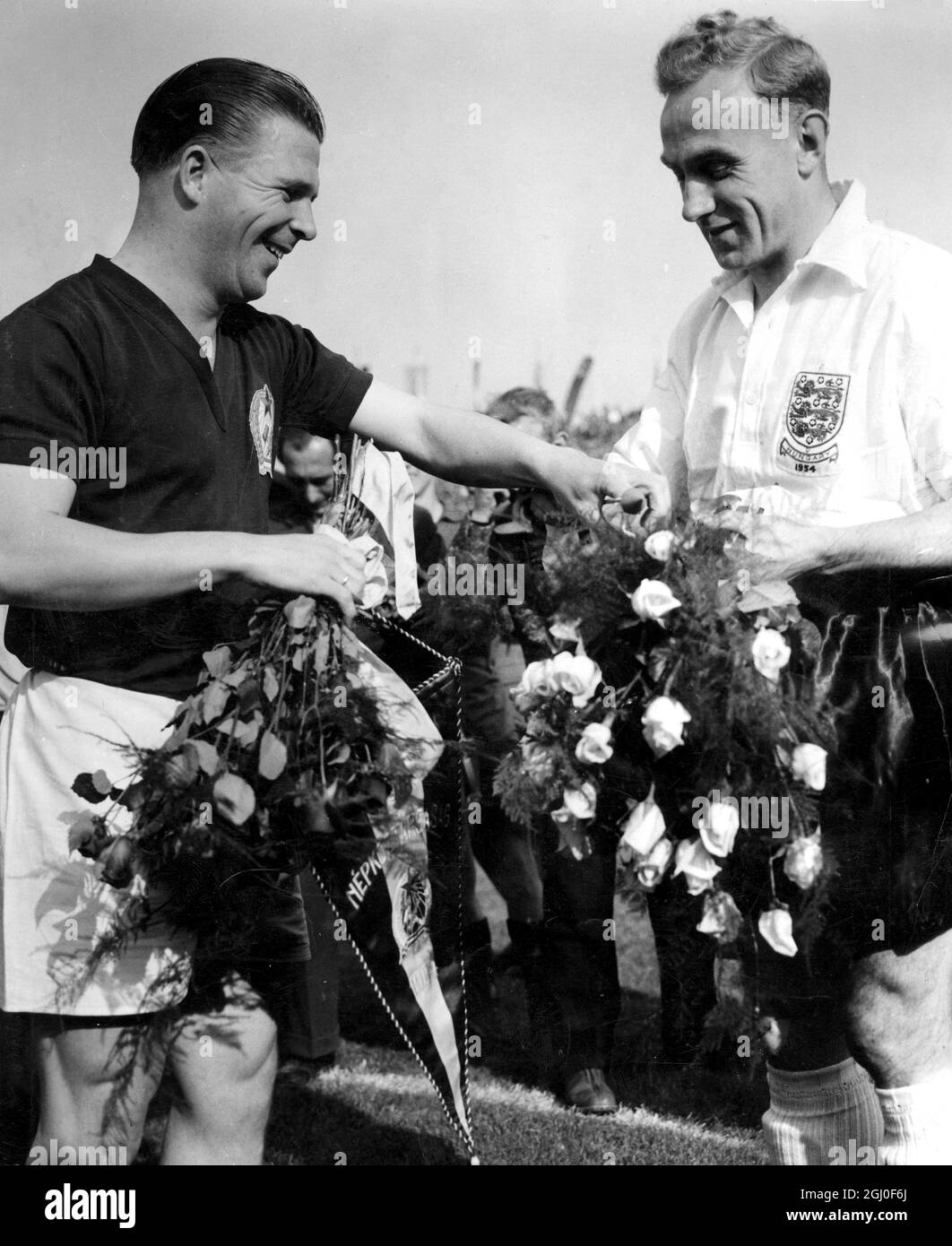I bouquet vengono scambiati dai due capitani prima dell'inizio della partita internazionale Ungheria/Inghilterra nello Stadio del Popolo. Sono Billy Wright (a destra) e Ferenc Puskas. Gli ungheresi vincendo il 7-1 hanno trattato il calcio inglese la sua più grande sconfitta per mano della parte continentale. 24 maggio 1954. Foto Stock