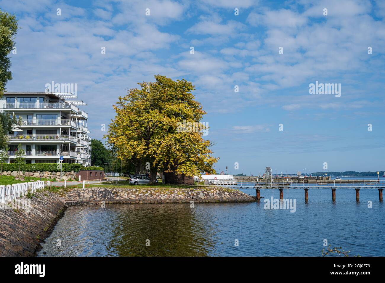 Kieler Förde a Kiel Holtenau Die Farbe des Baumes läßt auf den kommenen Herbst schließen Foto Stock