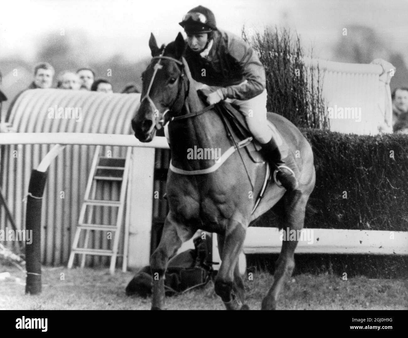 La principessa Anne che guida in una gara sopra salti per la prima volta, libera l'ultima recinzione sulla sua dieci anni Cnoc Na Cuille, per finire ultimo dei quattro corridori nella Portlane handicap Chase oltre 2 miglia e mezzo a Kempton Park. Foto Stock