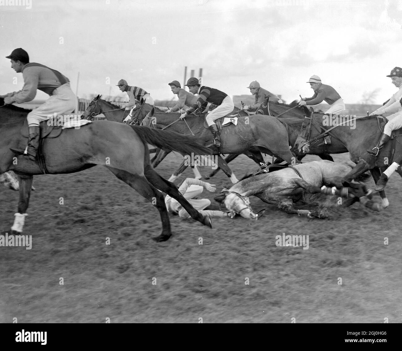Birmingham: Tetrashah ed il suo jockey E. Quinlan viene una caduta nella barriera di vendita di Stechford ed il cavallo abbassa la guerra di montagna (No $$), il cui pilota Kelly è visto provare duro controllare il suo supporto mentre inciampa su Tetrashah. Vincitore è stato il sig. P. Thompson's Osberstown (A. Honeydone). 15 gennaio 1951 Foto Stock