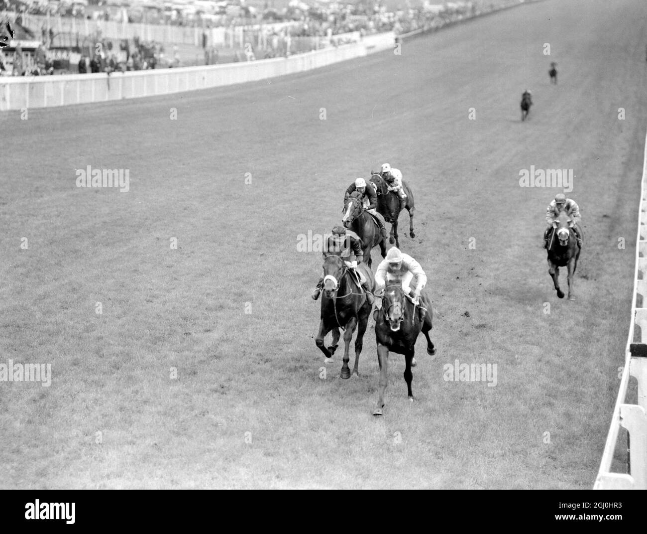 Epsom, Surrey, Inghilterra: Lo scorso anno il francese Derby Winner Relko, con Yves Saint Martin in su, (centro) viene a casa per vincere la 63° Coronation Cup all'ippodromo di Epsom oggi. Secondo è Khalkis (a sinistra) guidato da G Bougoure e terzo è stato Lester Piggott sulla Royal Avenue (a sinistra, bianco capo) 4 giugno 1964 Foto Stock