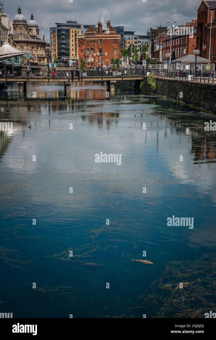 Centro commerciale Prince's Quay al Prince's Dock, Kingston upon Hull, East Yorkshire, Regno Unito Foto Stock
