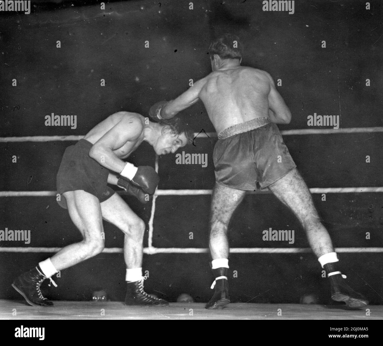 Al Philips di Aldgate bussa Ron Cooper ( a sinistra ) nel 4 ° round in Featherweight contest presso Empress Hall . 6 dicembre 1950 Foto Stock