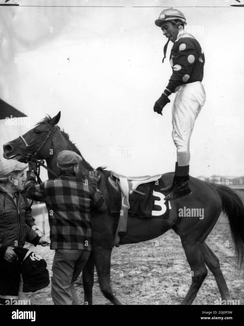 Con il suo cavallo sullo sfondo , Jockey Angel Cordero a mezz'aria mentre salta per festeggiare la vittoria di una gara Foto Stock