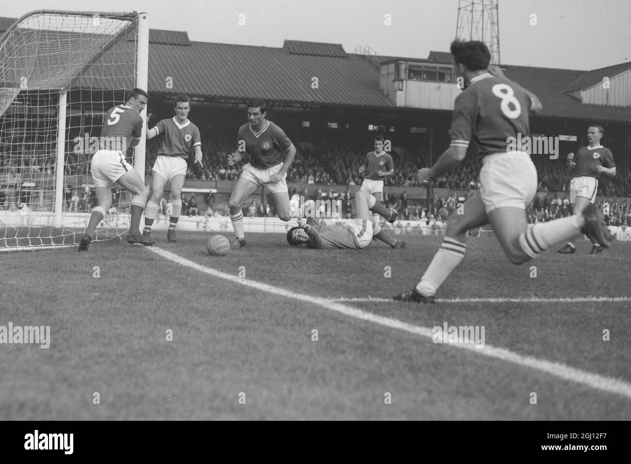 PORTIERE GORDON BANKS IN AZIONE DI CALCIO 14 OTTOBRE 1961 Foto Stock