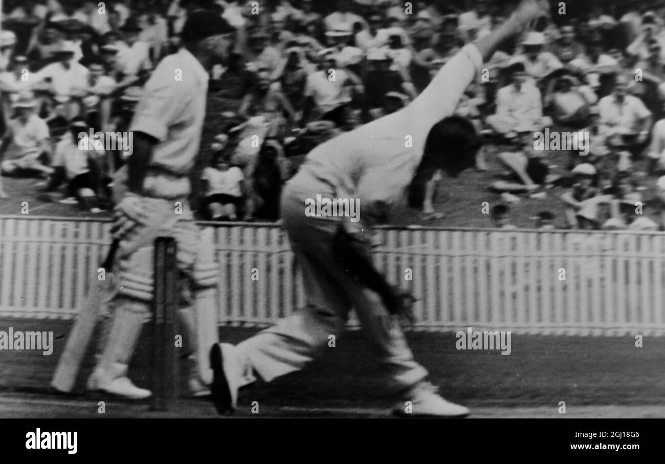 CRICKET IN AZIONE A BRISBANE MECKIFF E BARLOW GIOCANDO A CRICKET ; 11 DICEMBRE 1963 Foto Stock