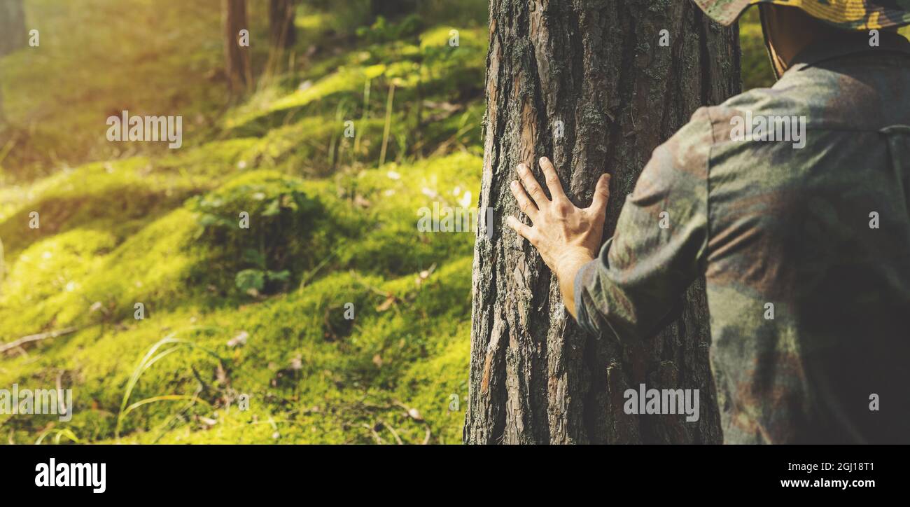 forester che controlla il tronco di pino. risorse rinnovabili e concetto di sviluppo sostenibile. spazio di copia Foto Stock