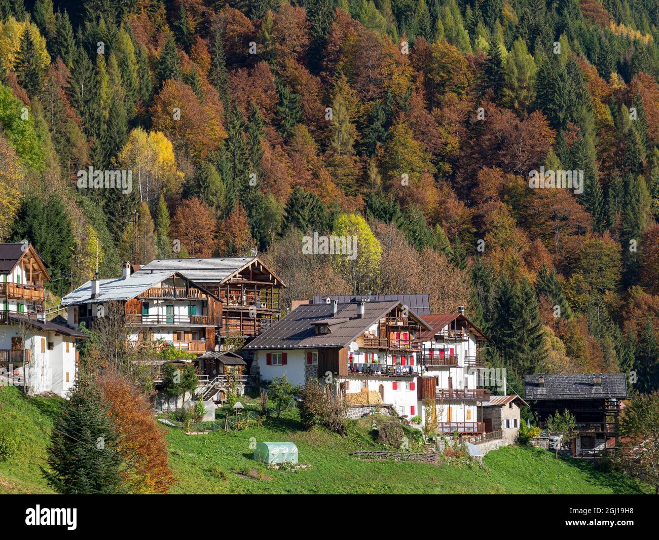 Fattoria alpina tradizionale a Falcade in Val Biois, Italia. Foto Stock