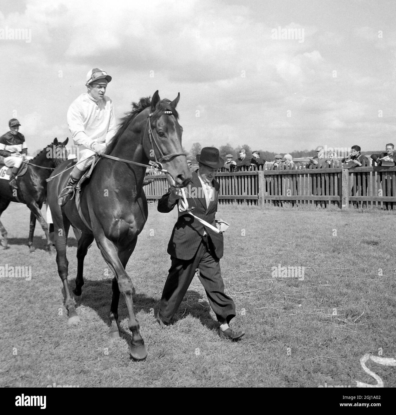 CORSA DI CAVALLI CHE BRUCIA LA TORCIA CON P ROBINSON IN SU A NEWMARKET ; 30 APRILE 1964 Foto Stock