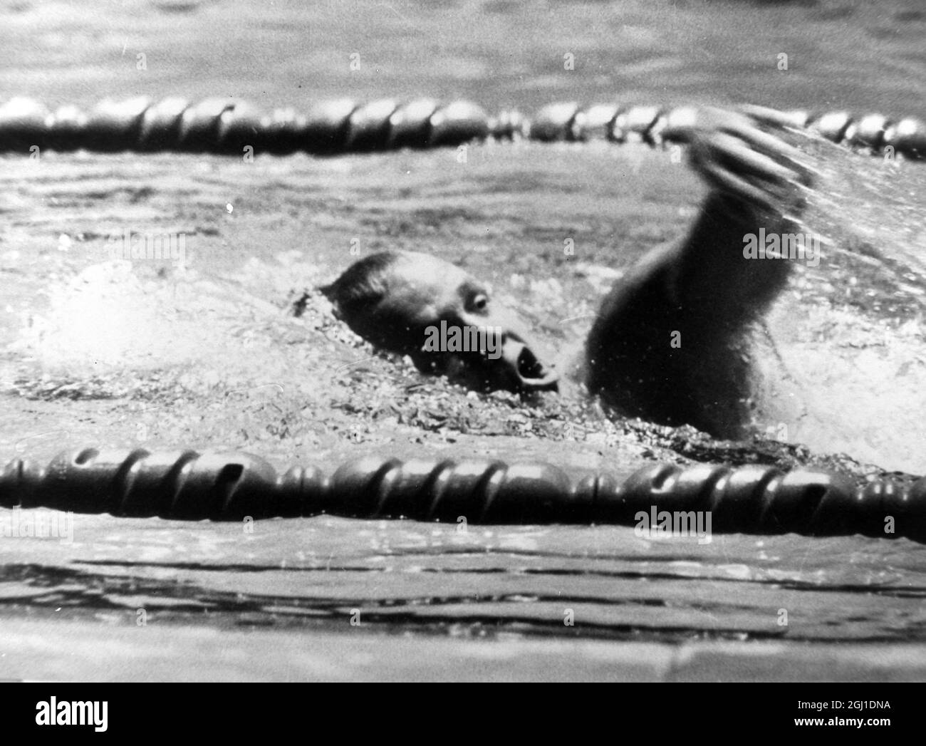 OLIMPIADI, GIOCHI OLIMPICI DI SPORT - LA XVIII OLYMPIADE A TOKYO, GIAPPONE - NUOTO OLIMPIADI MENS 400 METRI FREESTYLE SCHOLLANDER COMPETERE ; 17 OTTOBRE 1964 Foto Stock