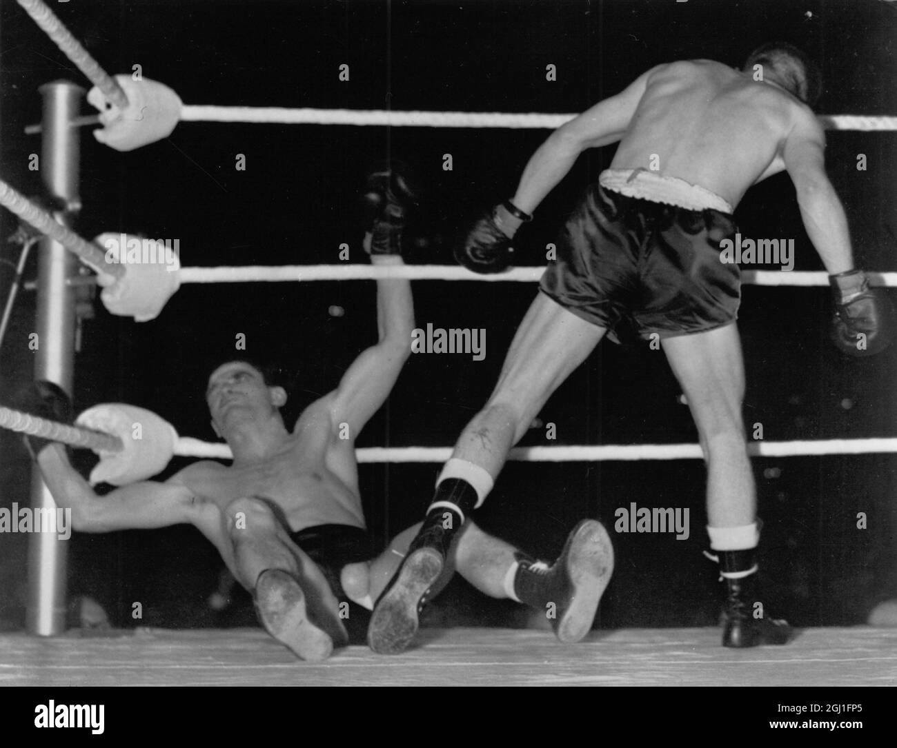 Alphonse Halimi , ex titolare algerino del World Bantamweight Title , colpisce la tela nel quindicesimo round del suo titolo di difesa contro Johnny Caldwell di Belfast nell'Empire Pool , Wembley , Londra . Caldwell ha vinto il bout e il titolo sui punti . 31 maggio 1961 Foto Stock