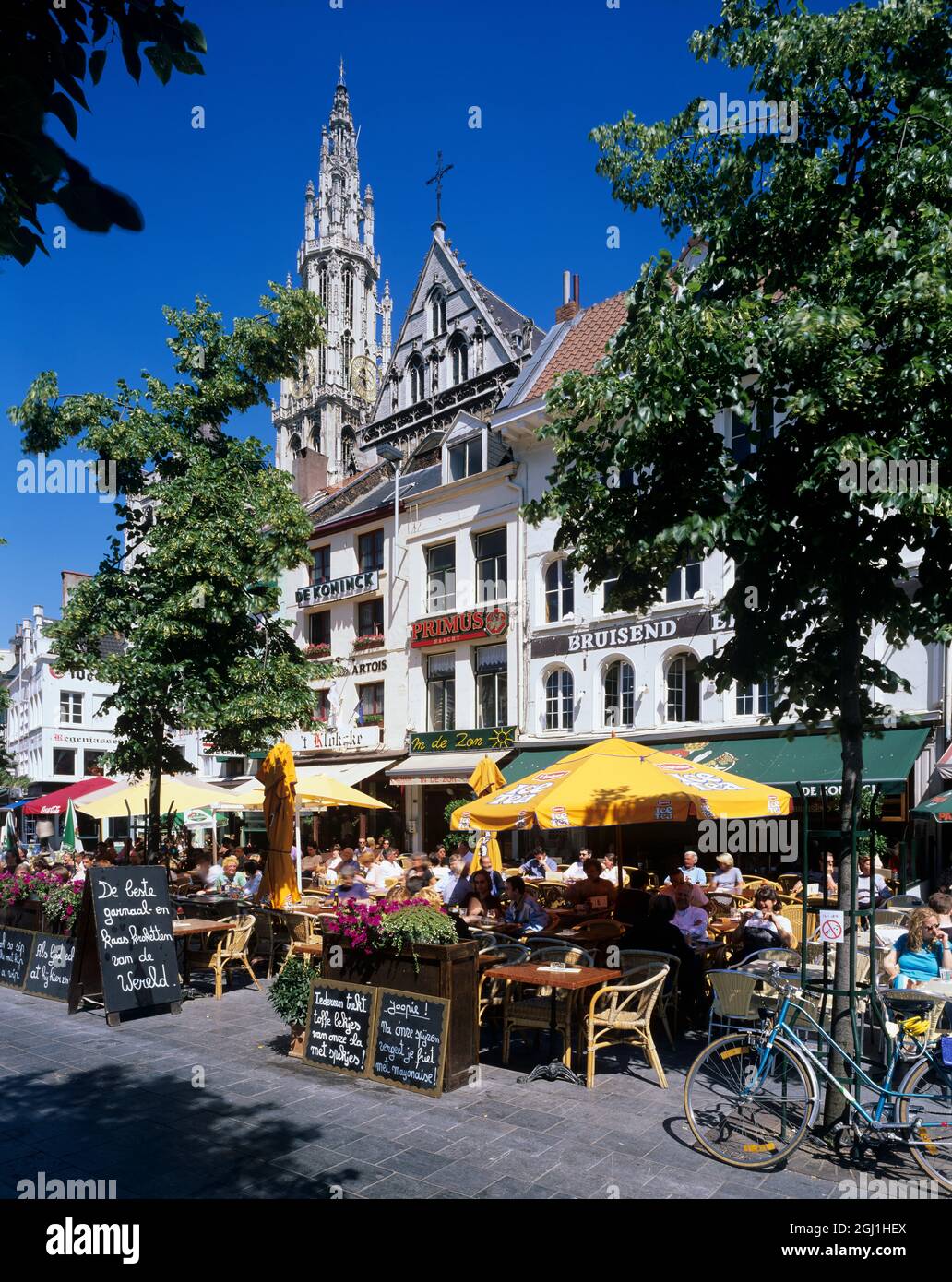 Caffè sul Groenplaats con la Cattedrale dietro, Anversa, regione fiamminga, Belgio, Europa Foto Stock