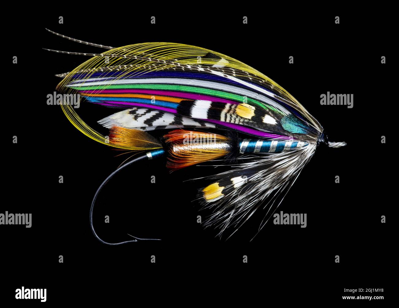 Atlantic Salmon Fly progetta "l'estate indiana" Foto Stock