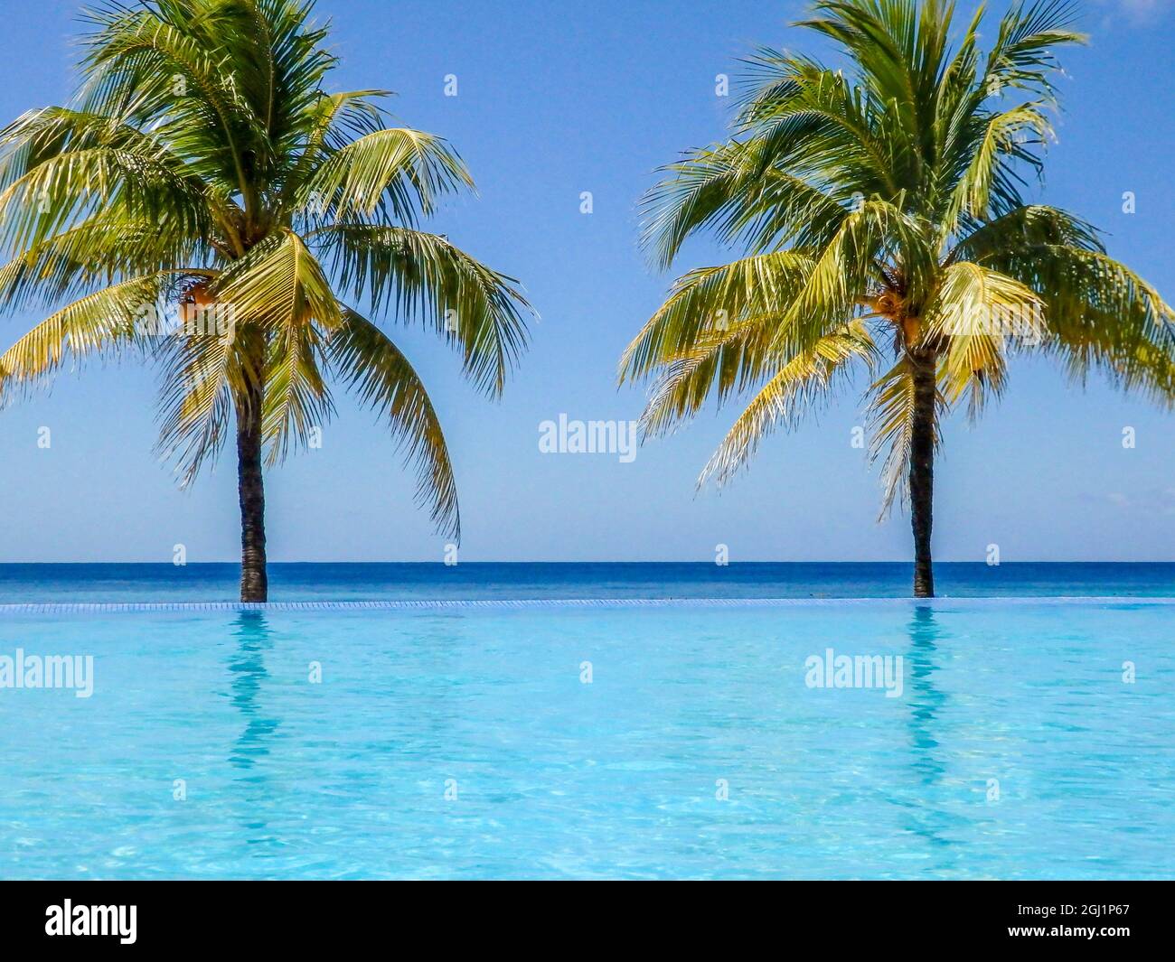 Caraibi, Honduras, Roatan. Piscina a sfioro circondata da palme. Foto Stock