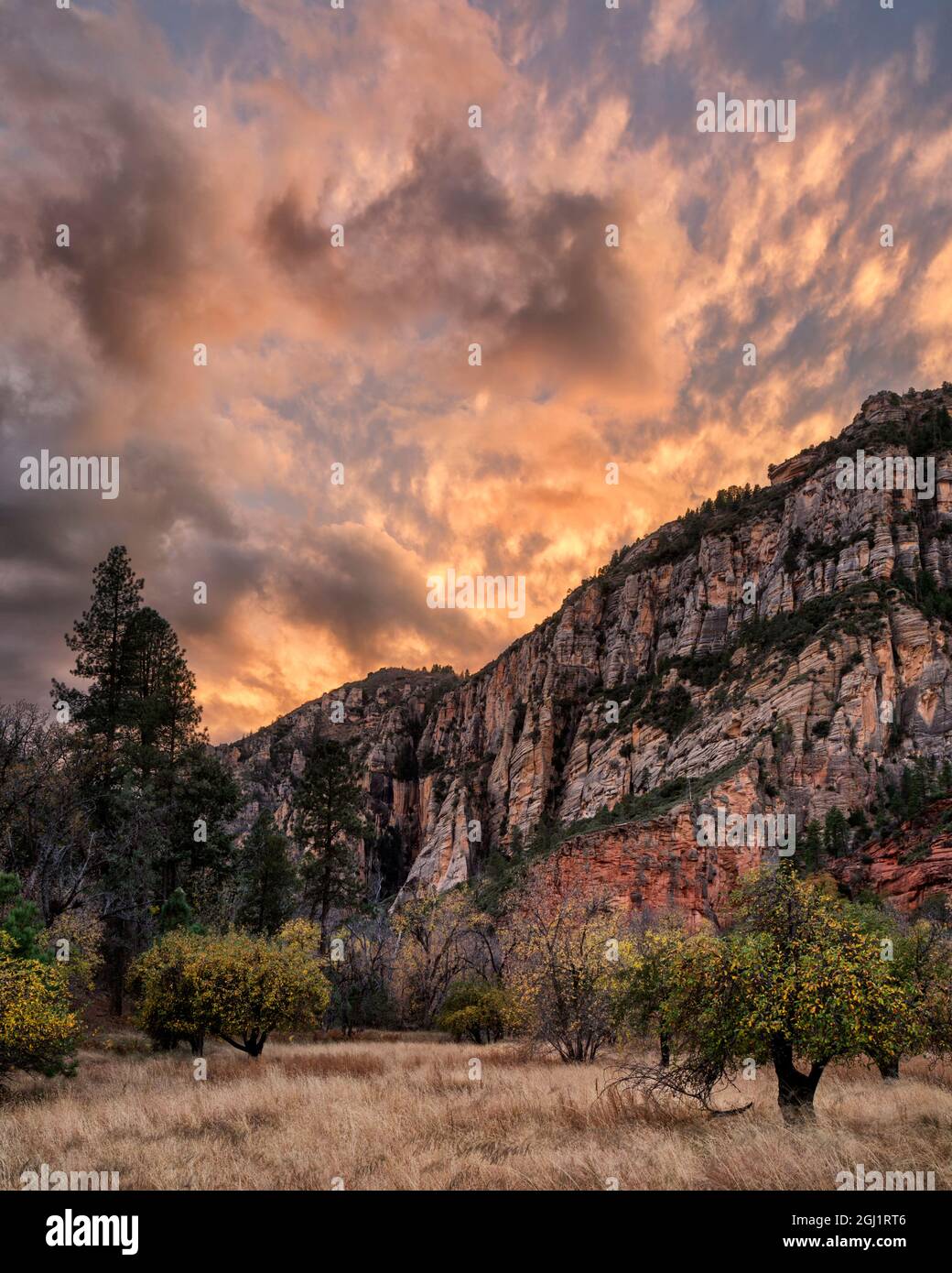 USA, Arizona, Oak Creek Canyon, Coconino National Forest, Tramonto a Oak Creek's West Fork Foto Stock