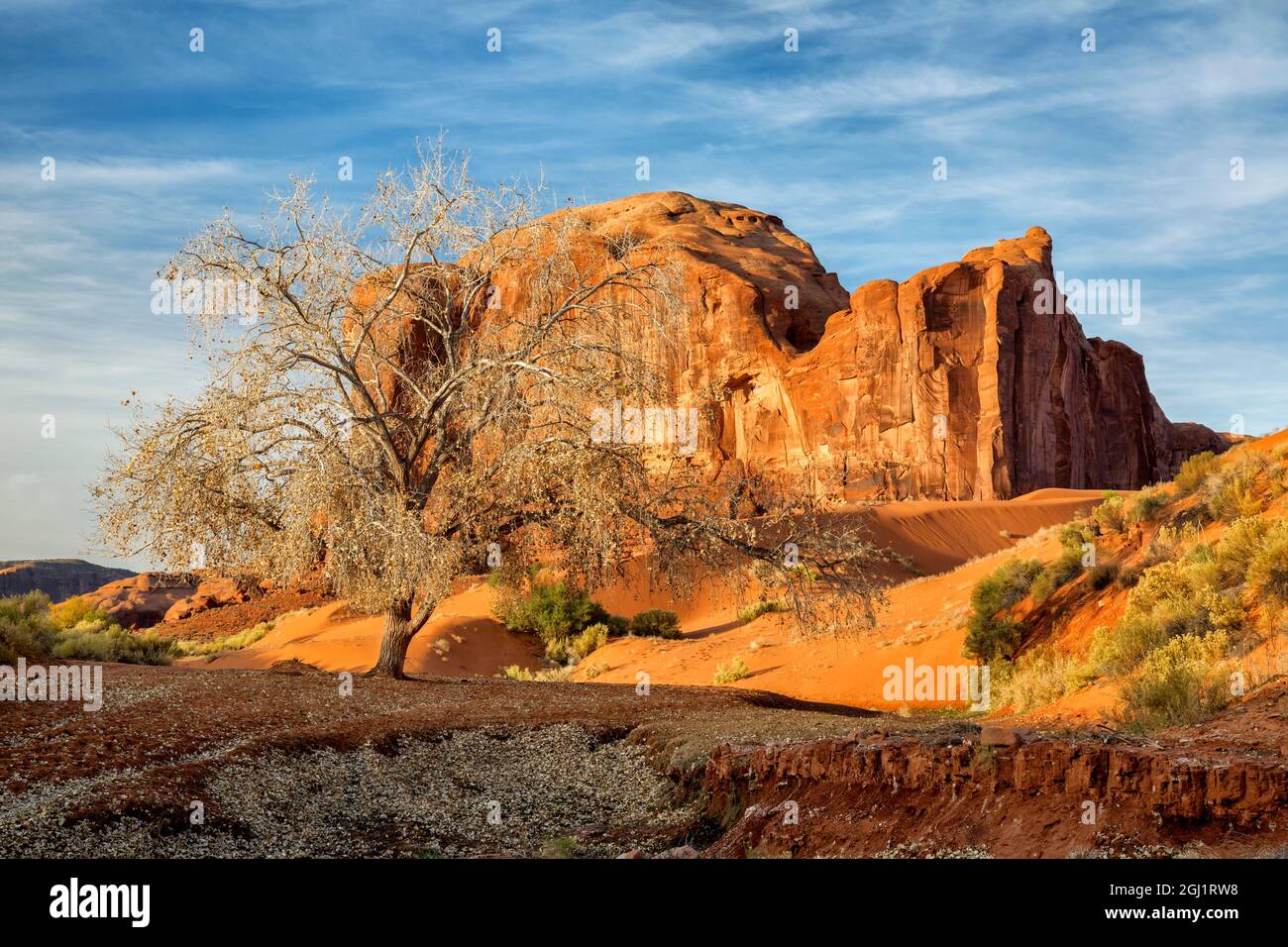 USA, Arizona, Monument Valley Navajo Tribal Park, Autunno a Sand Springs e Rain God Mesa Foto Stock