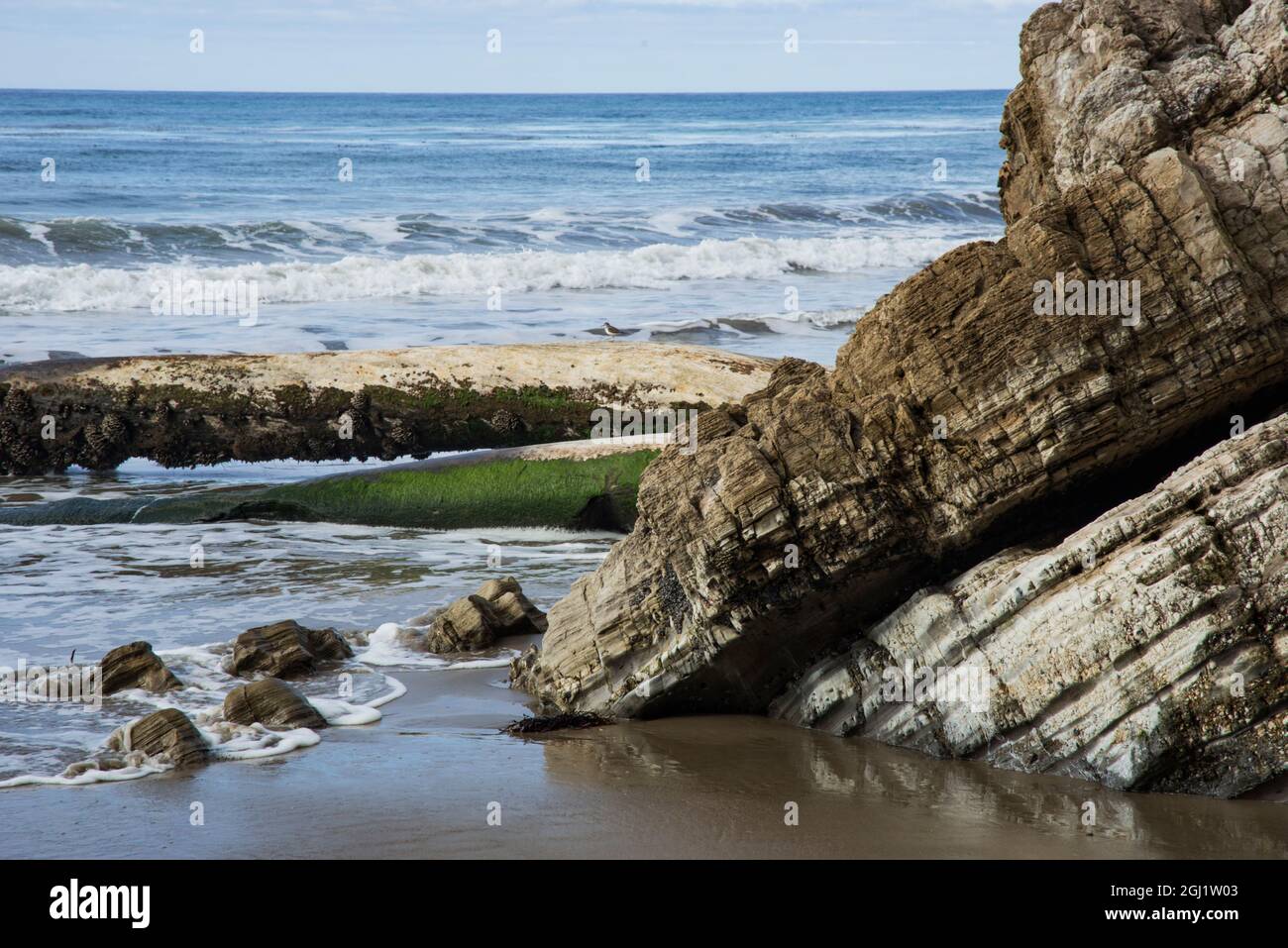 USA, California, Santa Barbara. Spiaggia di Arroyo Burro (nota anche come spiaggia di Hendry). Foto Stock