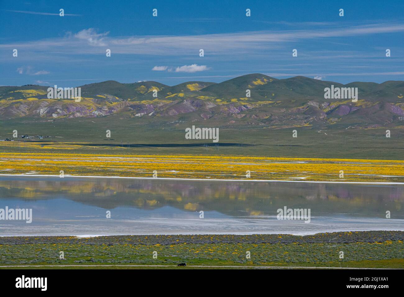 California, Stati Uniti. Automobile in viaggio attraverso Carrizo Plain National Monument, primavera Foto Stock