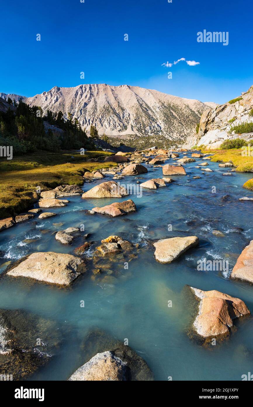 Ruscello in Sam Mack Meadow, John Muir Wilderness, Sierra Nevada Mountains, California, USA. Foto Stock