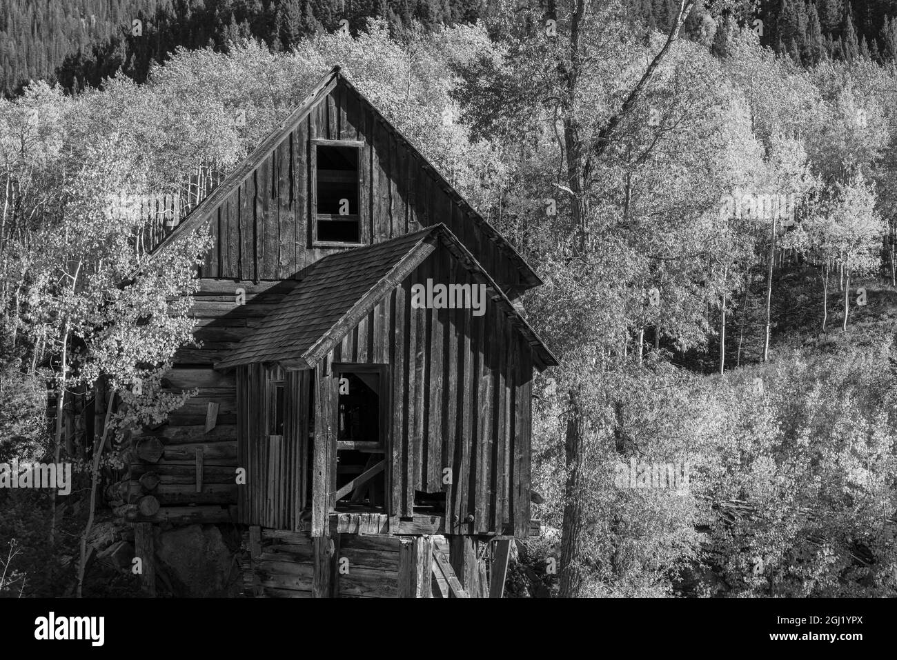 USA, Colorado, Gunnison National Forest. Mulino Wildhorse abbandonato. Foto Stock