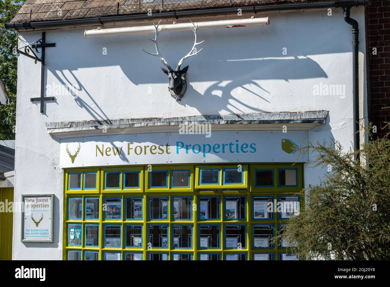 New Forest Properties, un'azienda di agenti immobiliari a Brockenhurst, Hampshire, Inghilterra, Regno Unito Foto Stock