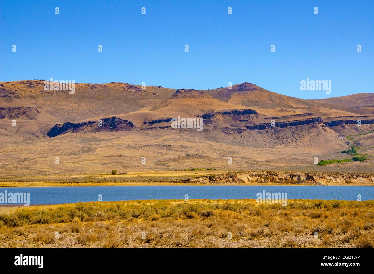 USA, California. Black Rock Desert, Summit Lake nella riserva indiana di Paiute Foto Stock
