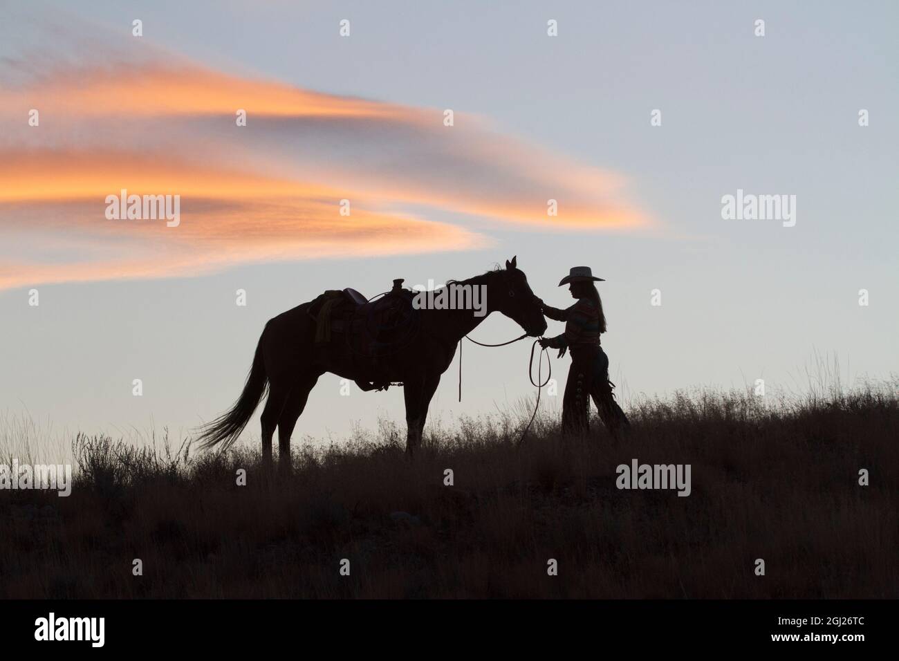 Stati Uniti d'America, Wyoming, Shell, il nascondiglio Ranch, Silhouette di Cowgirl con cavallo al tramonto (MR/PR) Foto Stock