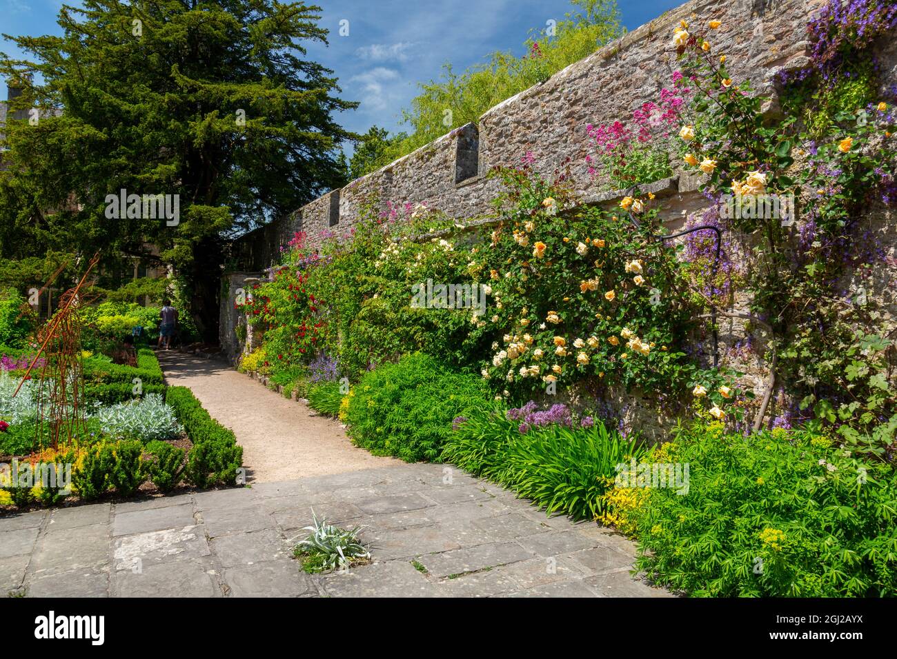 Confini erbacei colorati nel giardino murato dei Bishop's Palace Gardens a Wells, Somerset, Inghilterra, Regno Unito Foto Stock
