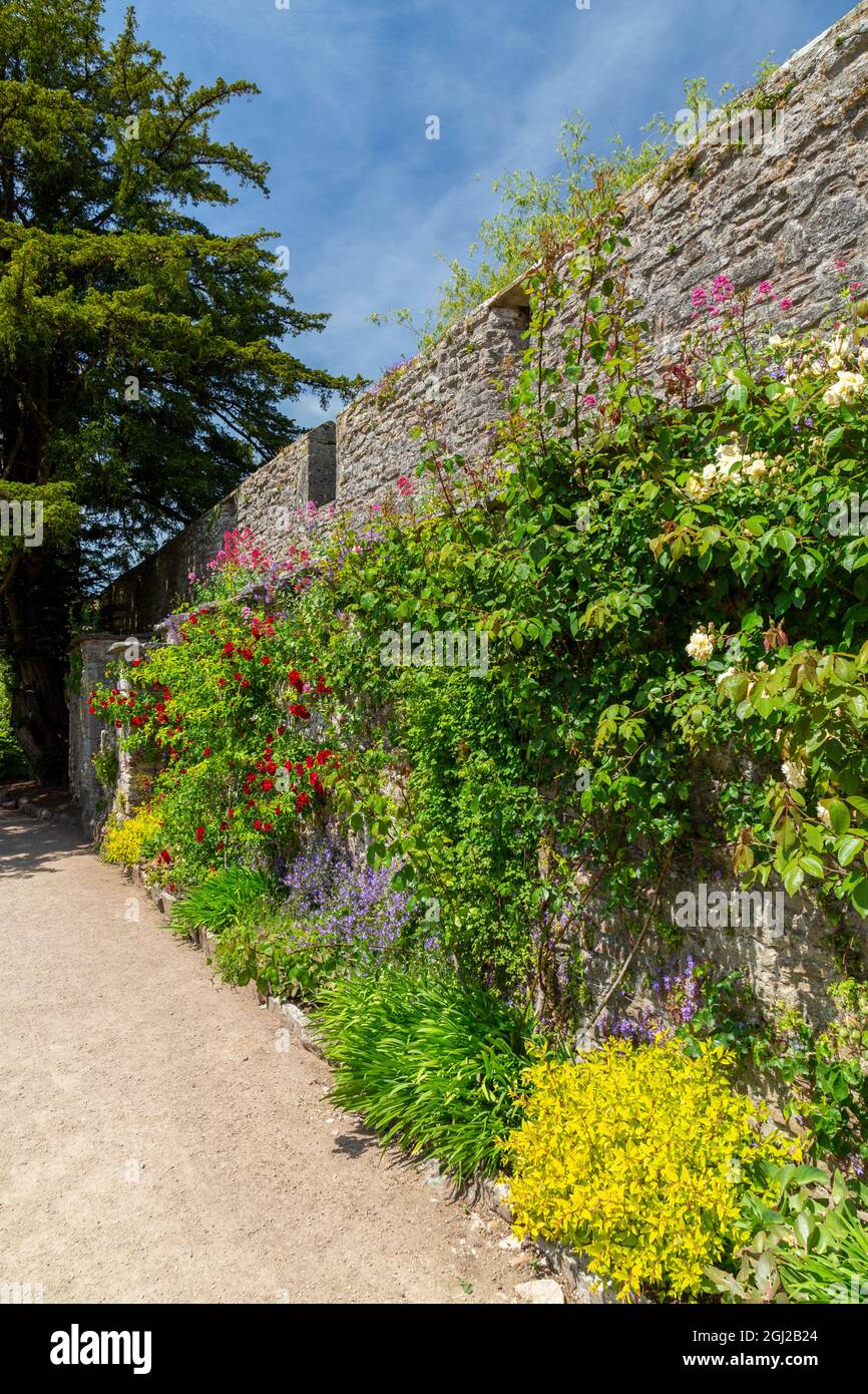 Confini erbacei colorati nel giardino murato dei Bishop's Palace Gardens a Wells, Somerset, Inghilterra, Regno Unito Foto Stock