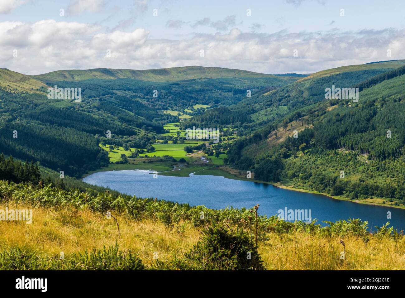 Una vista verso il basso sulla riserva di Talybont e la valle nel Brecon Beacons nel mese di agosto Foto Stock