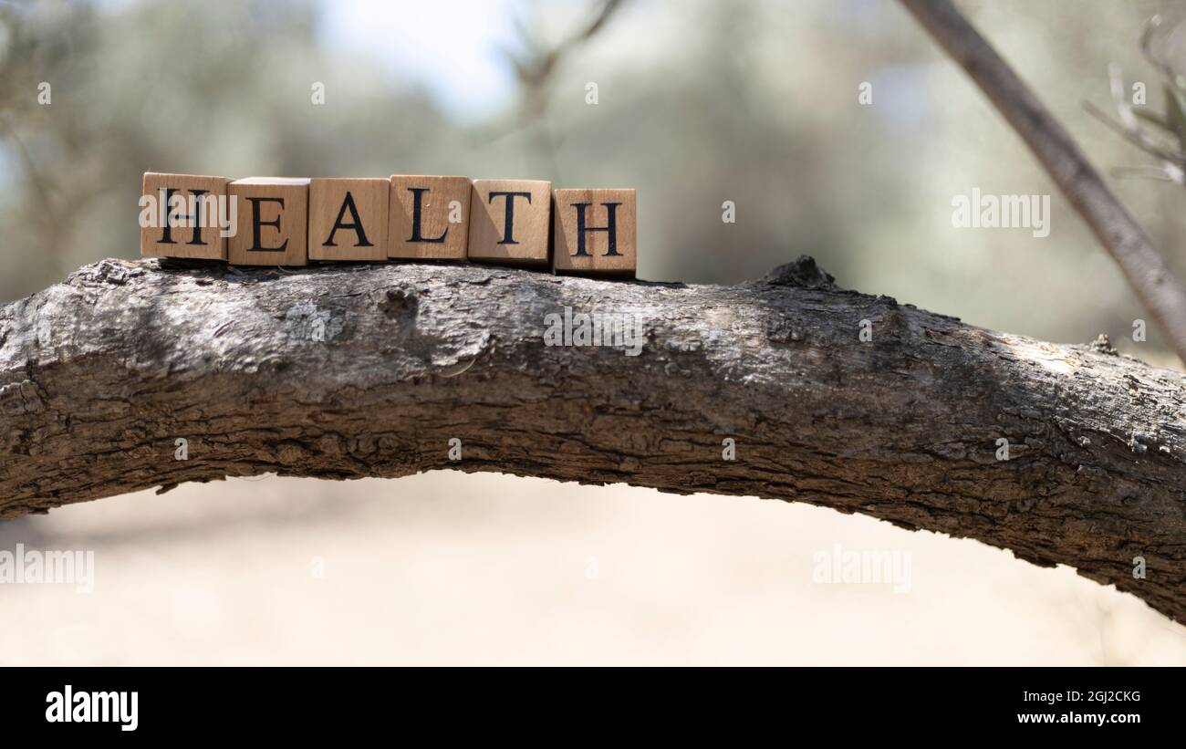 La parola Salute è stata creata da cubi di legno. Preso fuori su un ramo di albero. Primo piano Foto Stock