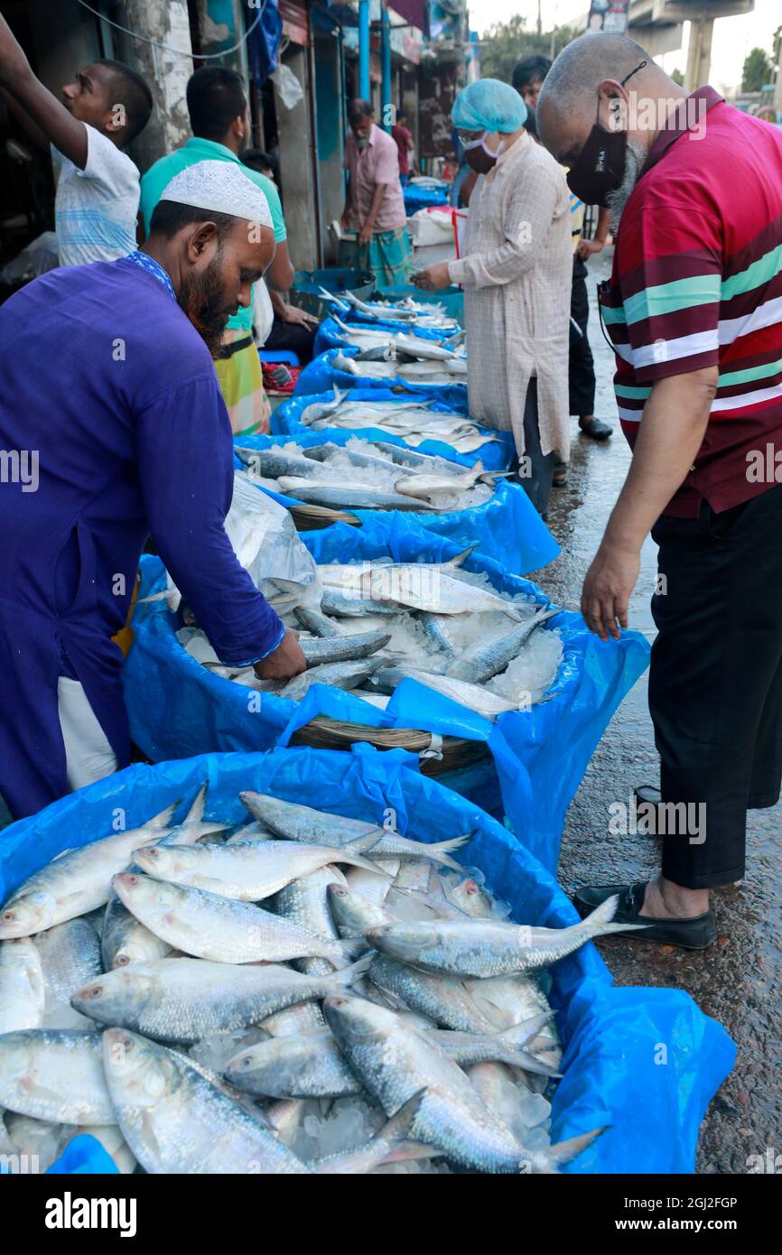 Dhaka, Bangladesh - 08 settembre 2021: I venditori sono seduti con i pesci hilsa al Bazaar Kawran a Dhaka. Hilsa è il pesce nazionale del Bangladesh. È così Foto Stock