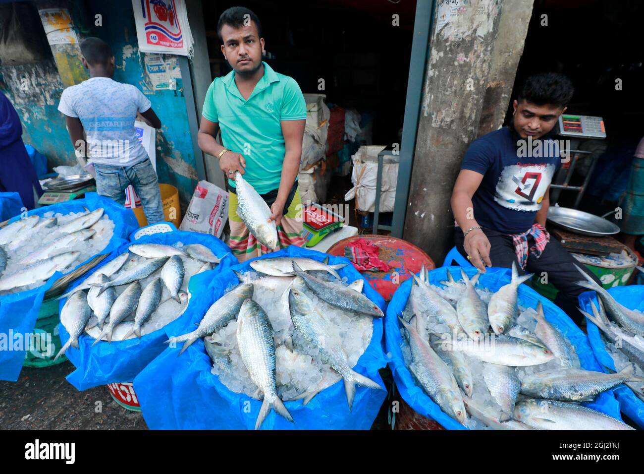 Dhaka, Bangladesh - 08 settembre 2021: I venditori sono seduti con i pesci hilsa al Bazaar Kawran a Dhaka. Hilsa è il pesce nazionale del Bangladesh. È così Foto Stock