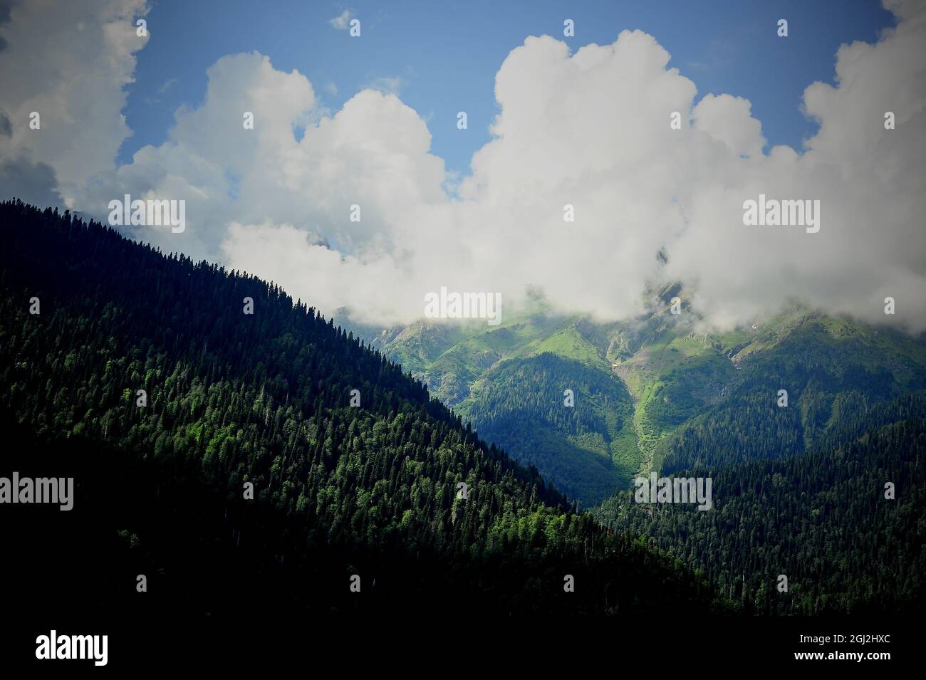 Nuvole nelle cime verdi delle montagne. Abkhazia, il paese dell'anima. Foto Stock