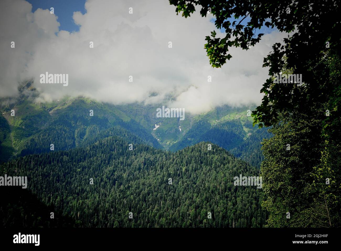 Nuvole nelle cime verdi delle montagne. Abkhazia, il paese dell'anima. Foto Stock