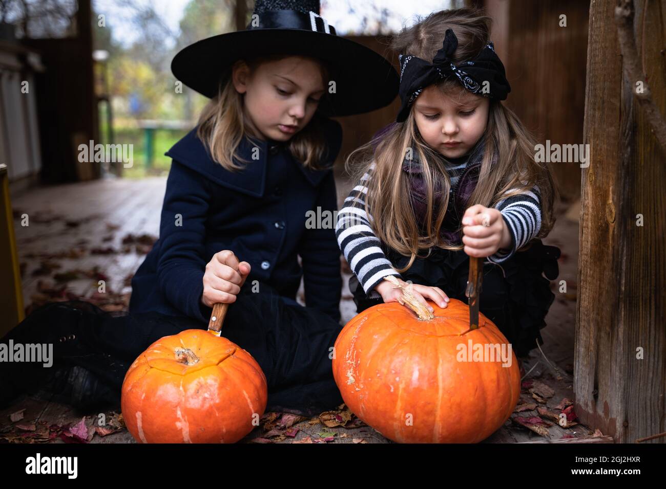 Le ragazze piccole fanno jack-o-lanterna dalle zucche grandi per la  celebrazione di Halloween Holiday.Witch costume, cappello, cappotto.  Tagliare con il coltello, estrarre la polpa con s Foto stock - Alamy