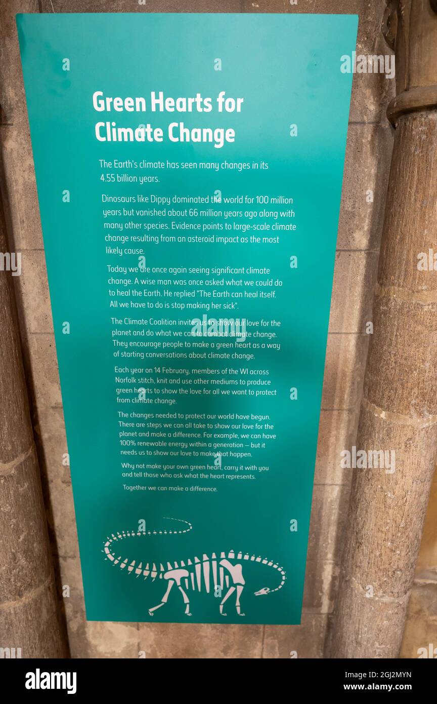 Un poster nella cattedrale di Norwich che afferma Green Hearts per il cambiamento climatico su sfondo verde Foto Stock