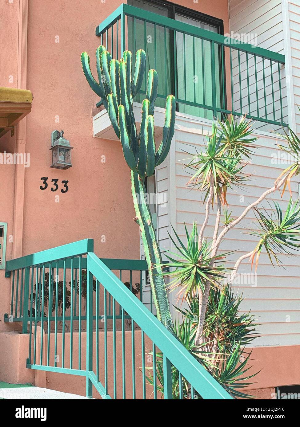 LOS ANGELES, STATI UNITI D'AMERICA - Giugno 15, 2019: Un colpo verticale di una casa pastello vintage con cactus a Los Angeles, Stati Uniti Foto Stock