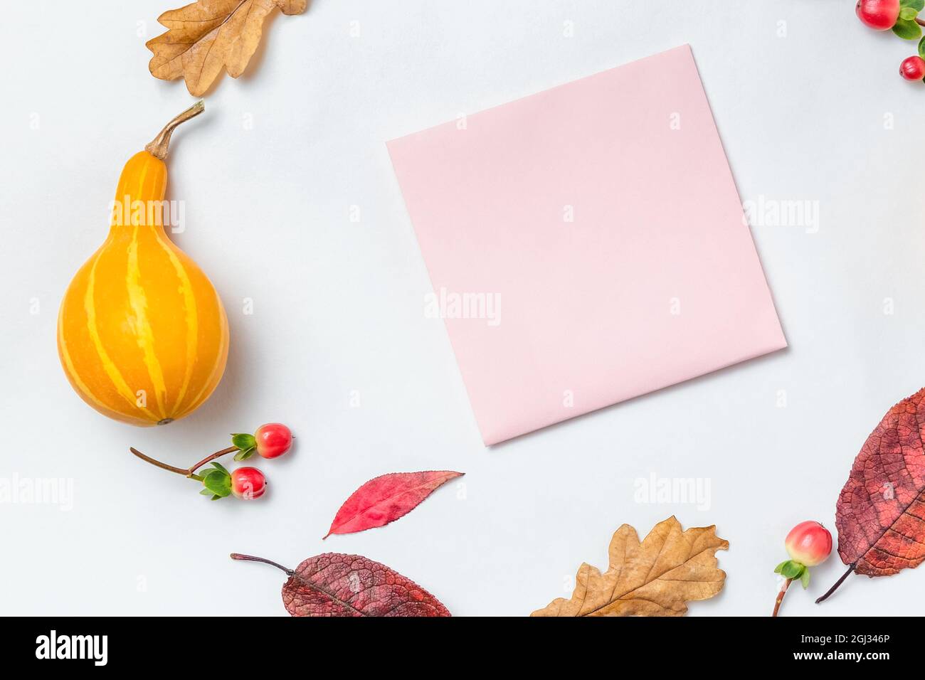 Vivace composizione autunnale. Cornice circolare o a corona fatta di zucca autunnale, bacche rosse, foglie di quercia e foglie di rowan. Telaio quadrato autum mockup. Copyspac Foto Stock