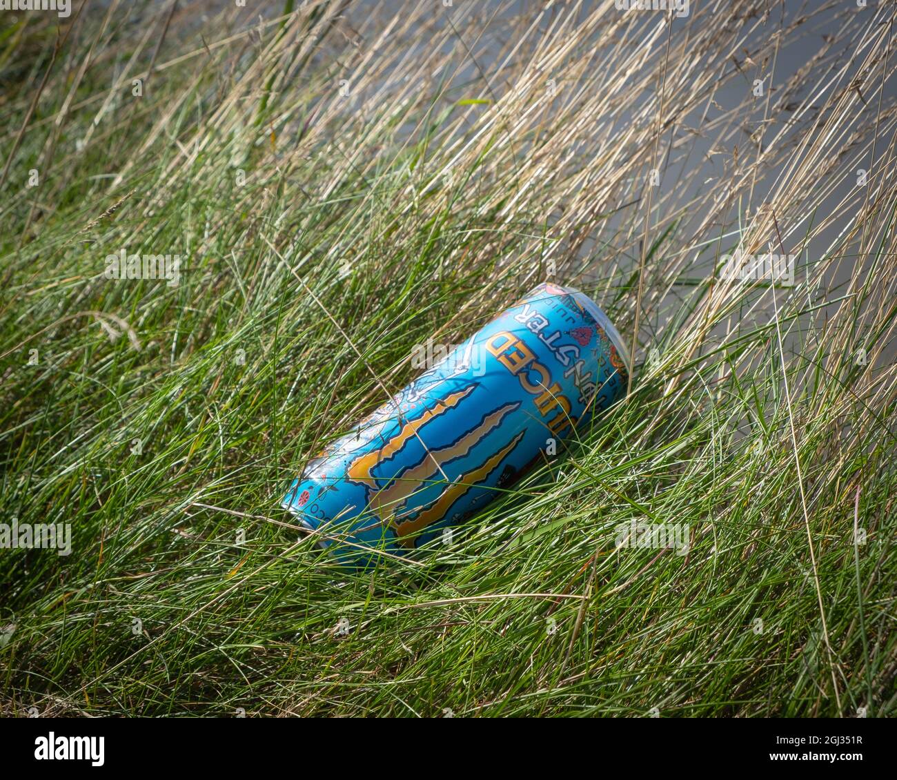 Primo piano di una bevanda energetica mostro scartata può in erba accanto al fiume Nith, Kingholm Quay, Scozia. Foto Stock