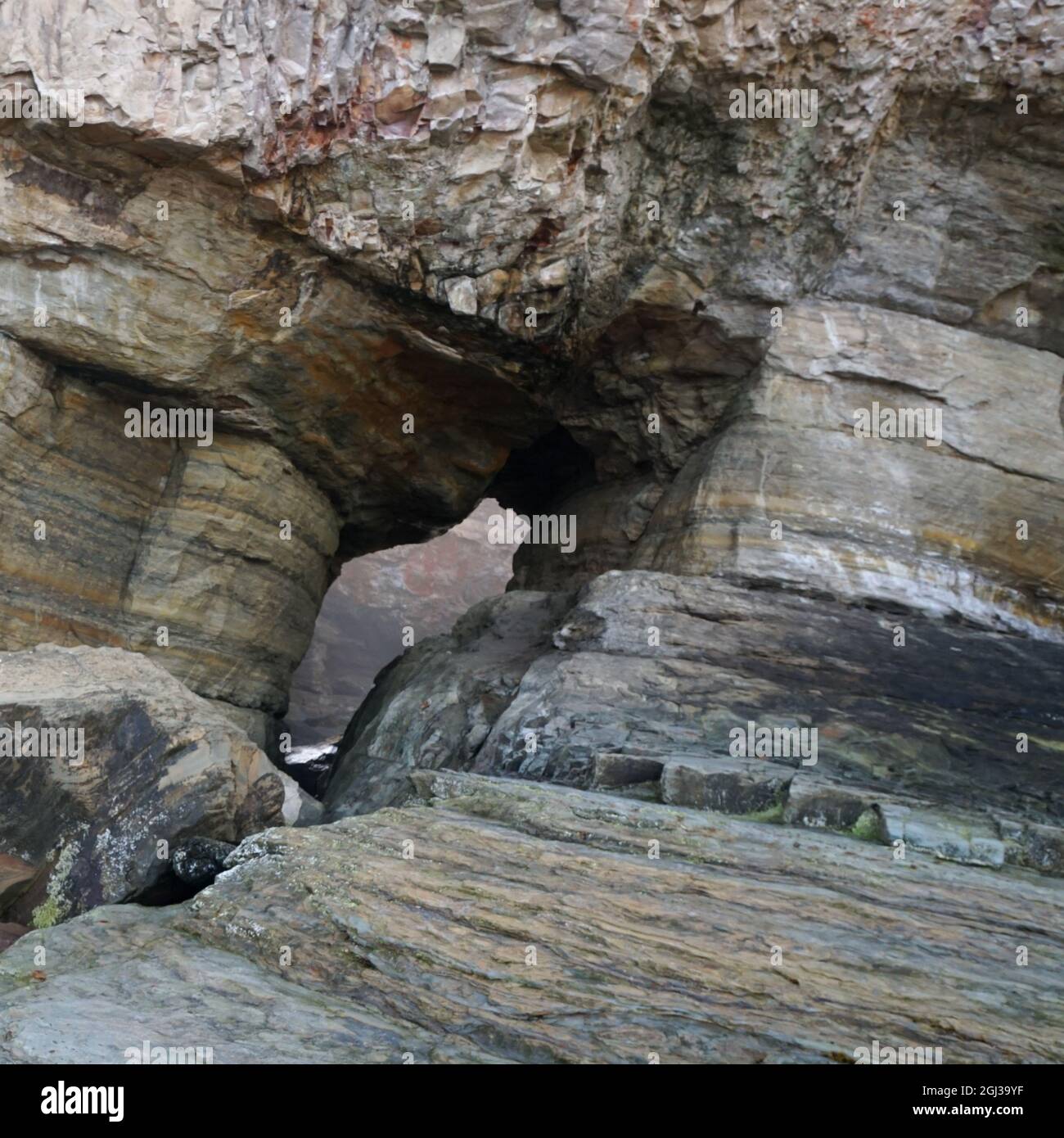 Erosione lungo faglia in arenaria inclinata (Miocene Astoria formazione), Devils Punchbowl, Oregon Coast, USA Foto Stock