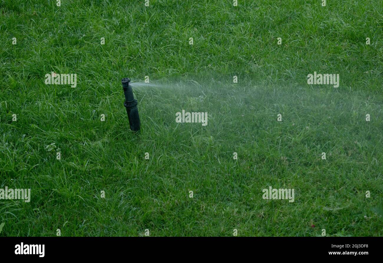 Impianto sprinkler automatico che innaffia il prato su uno sfondo di erba verde da vicino Foto Stock