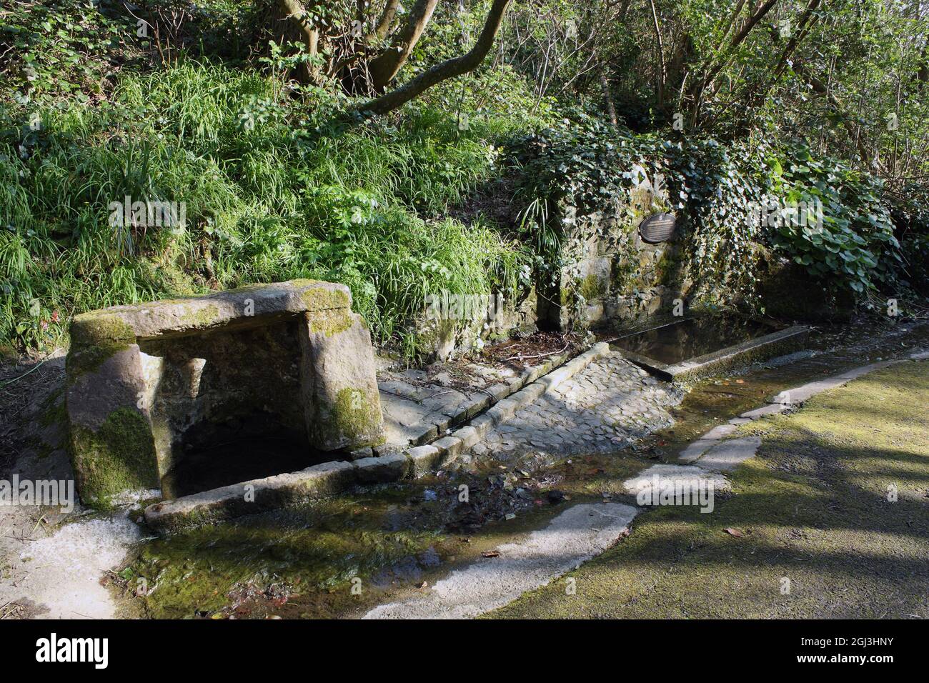 Isole della Manica britanniche. Guernsey. Sentiero della scogliera vicino a Moulin Huet Bay. Courtes Fallaizes - Abreveur et Fontaine. Foto Stock