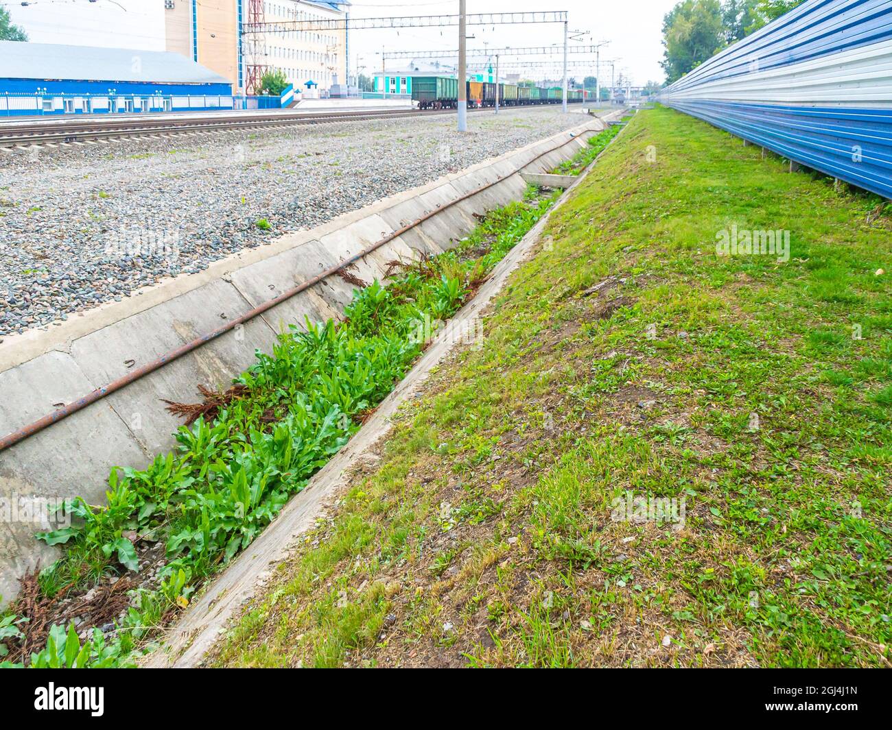 il canale di drenaggio della stazione ferroviaria non è stato pulito da molto tempo e viene coltivato con erba, fuoco selettivo Foto Stock