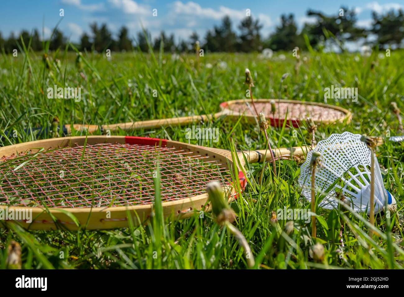 primo piano, racchette da tennis per badminton e un shuttlecock giacciono sull'erba verde in un prato, in una radura, in natura sullo sfondo degli alberi Foto Stock